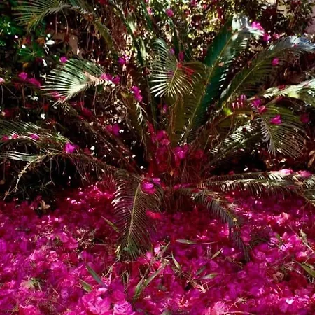Ferienhaus Flamingobeach Morghella Portopalo Di Capo Passero