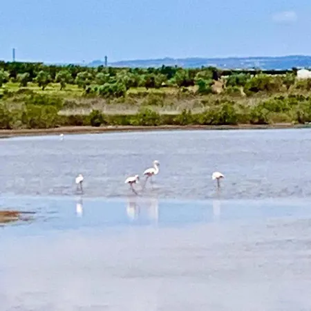 Holiday home Flamingobeach Morghella *
